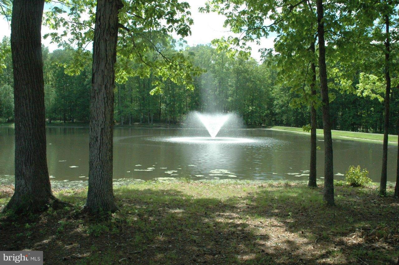 LAKE OF THE WOODS - Residential