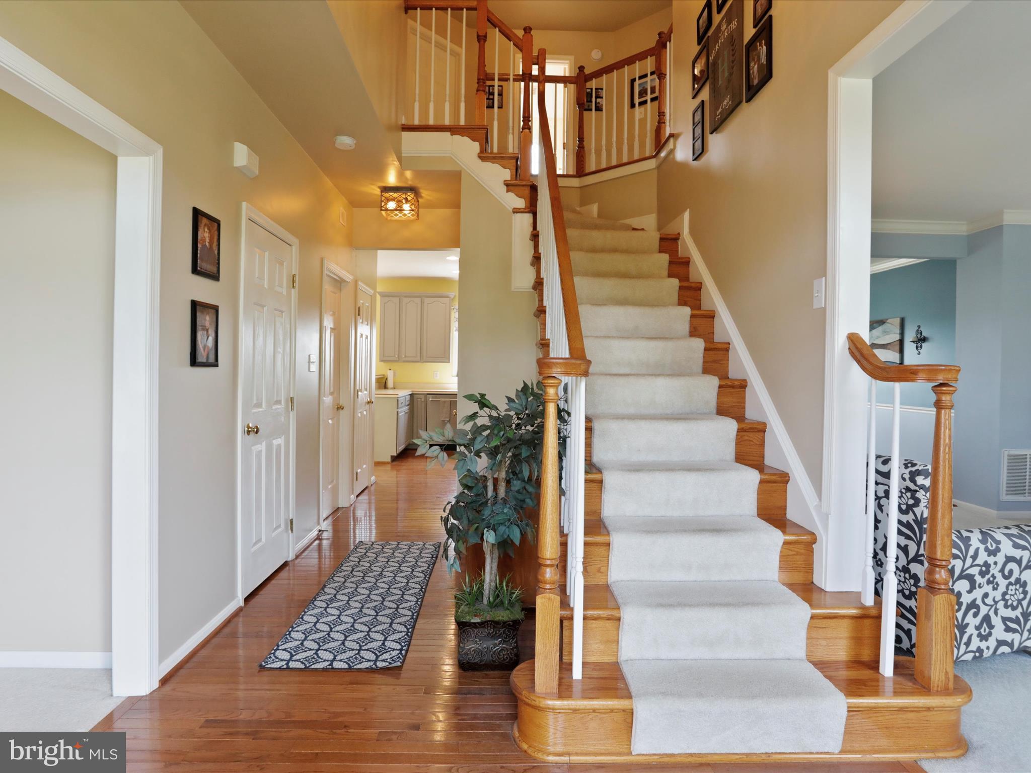 LOCUST HILL - Residential