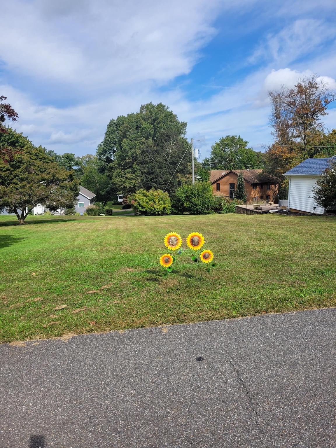 KENTMORE PARK - Residential