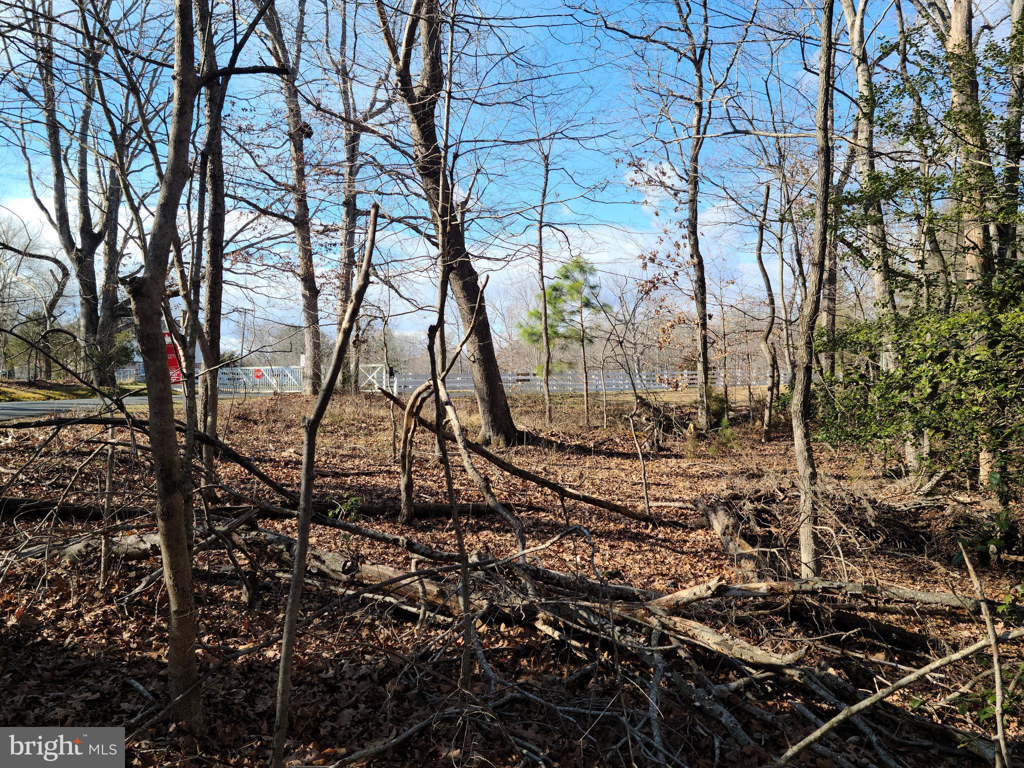 BELLWOOD PLANTATION - Land