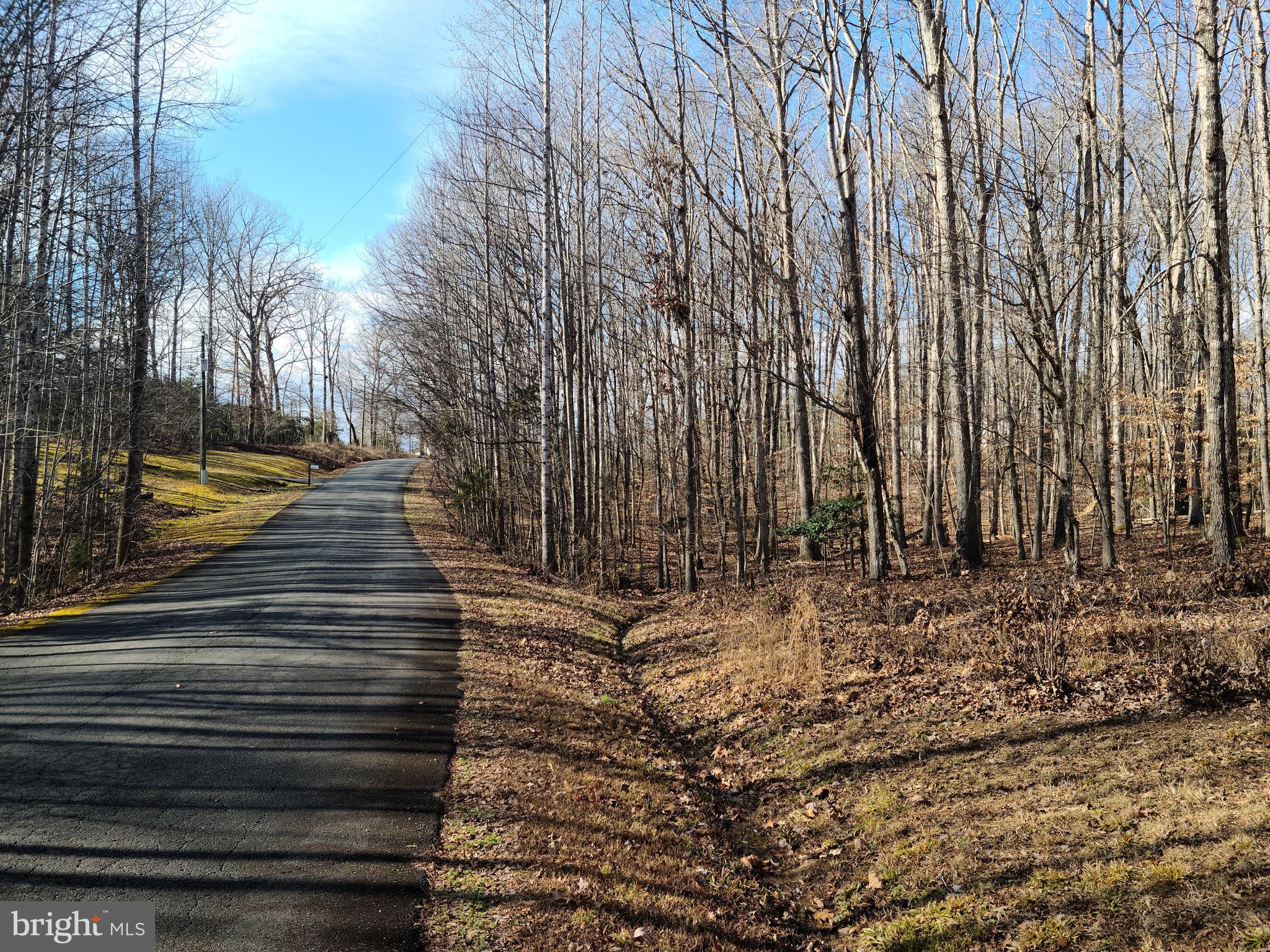 BELLWOOD PLANTATION - Land