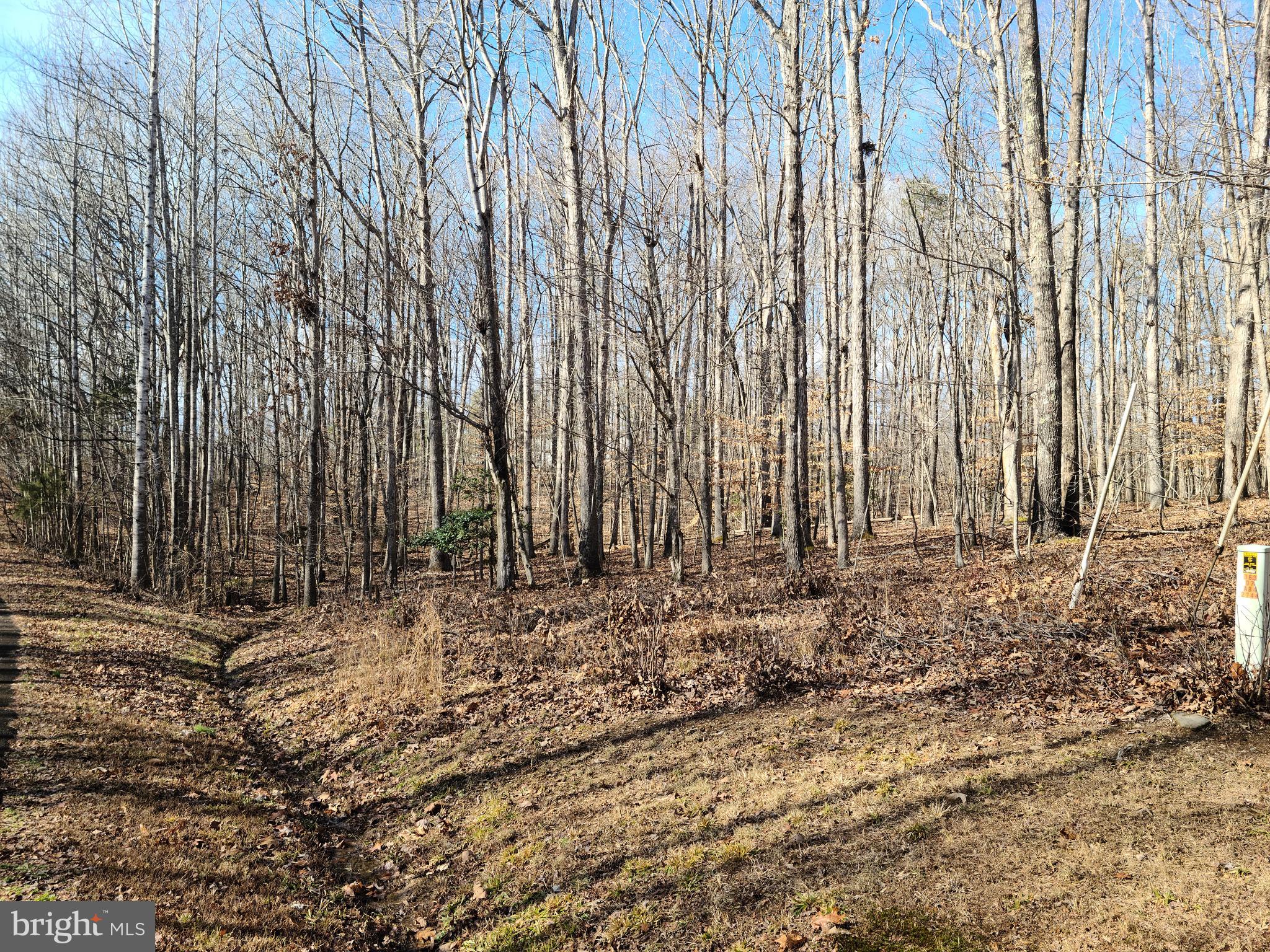 BELLWOOD PLANTATION - Land