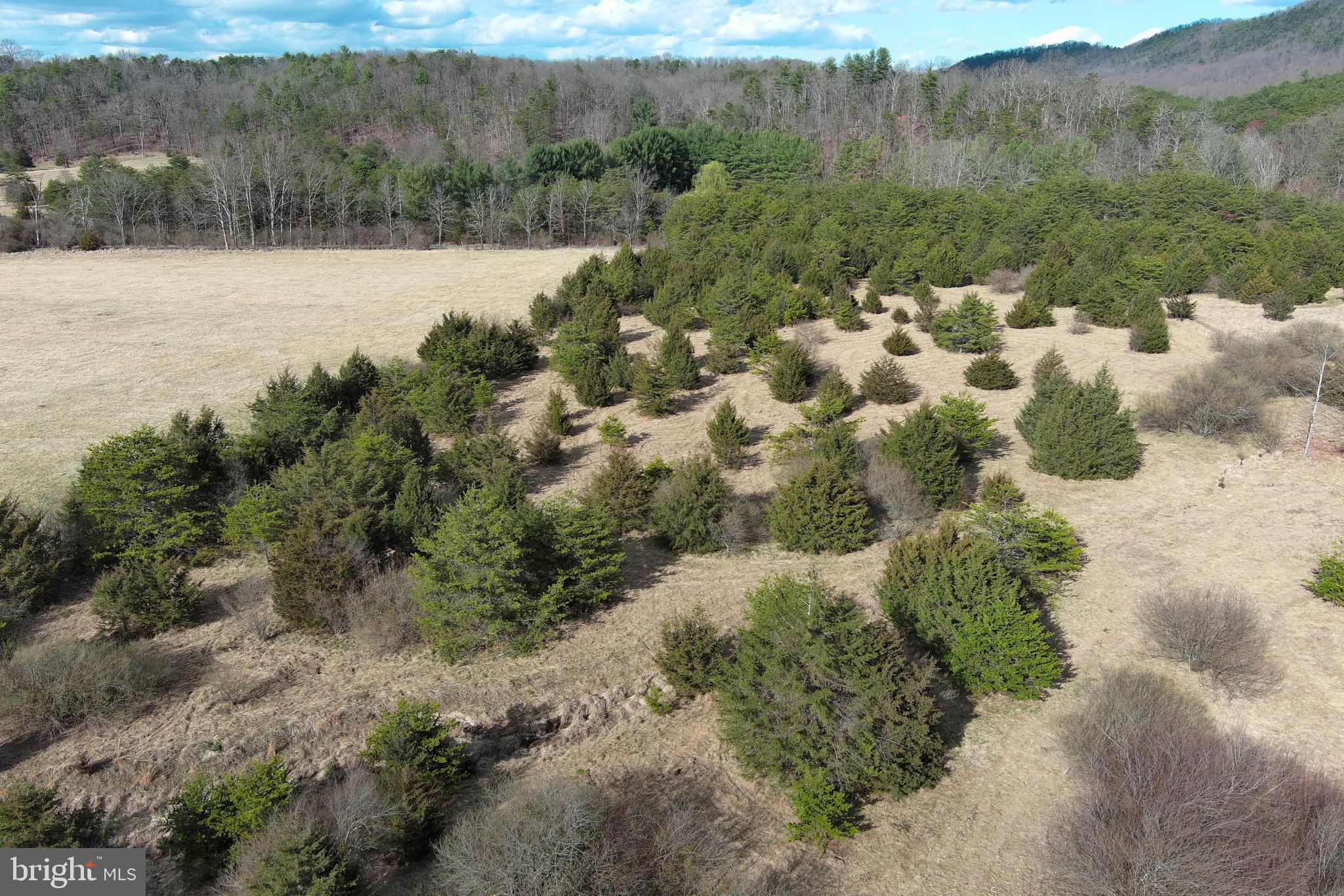 RANCH VIEW ESTATES - Land