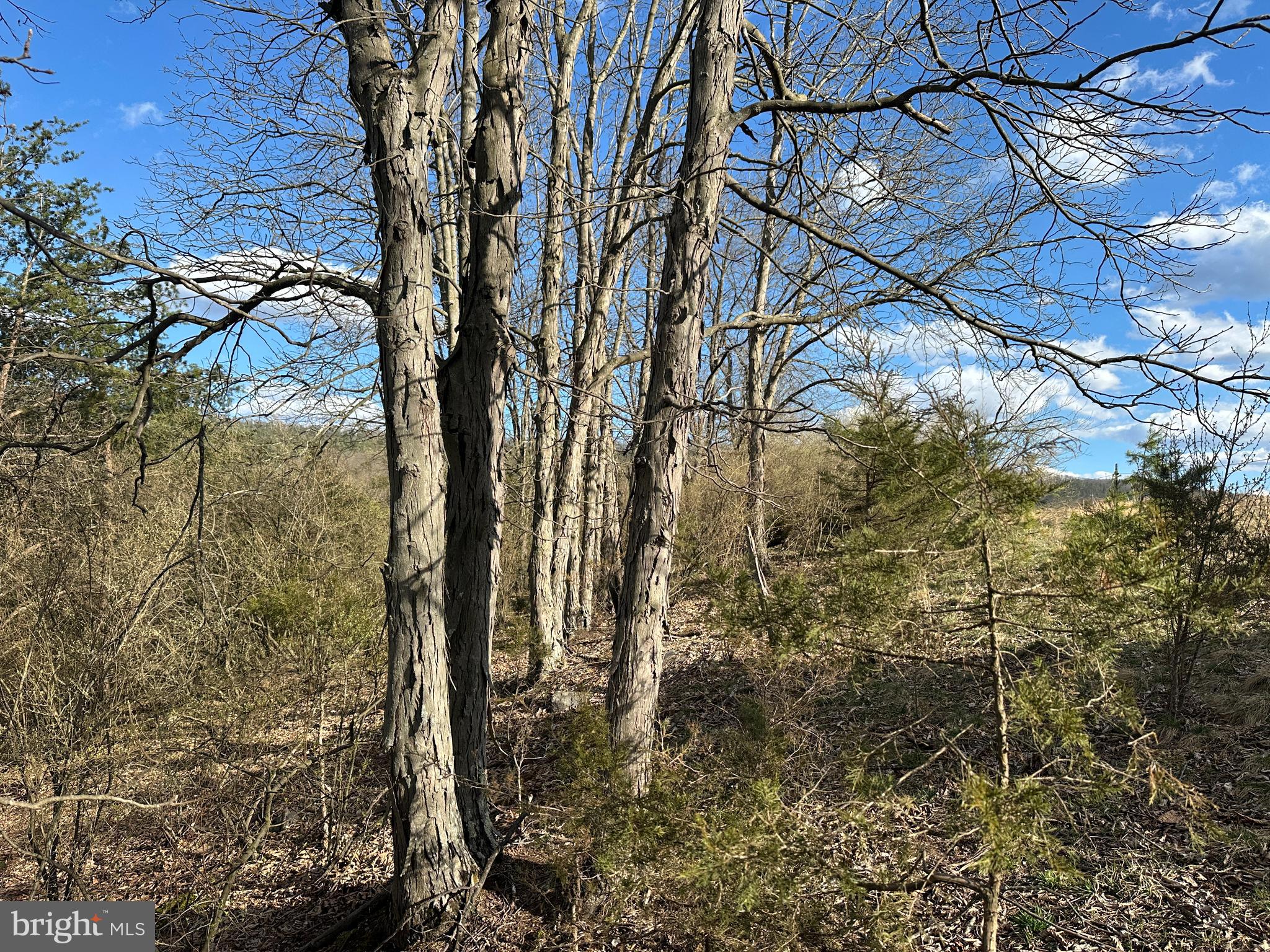 RANCH VIEW ESTATES - Land