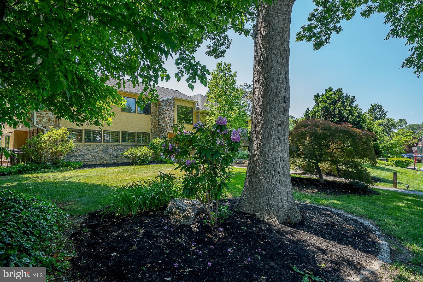 WYNNEWOOD - Residential