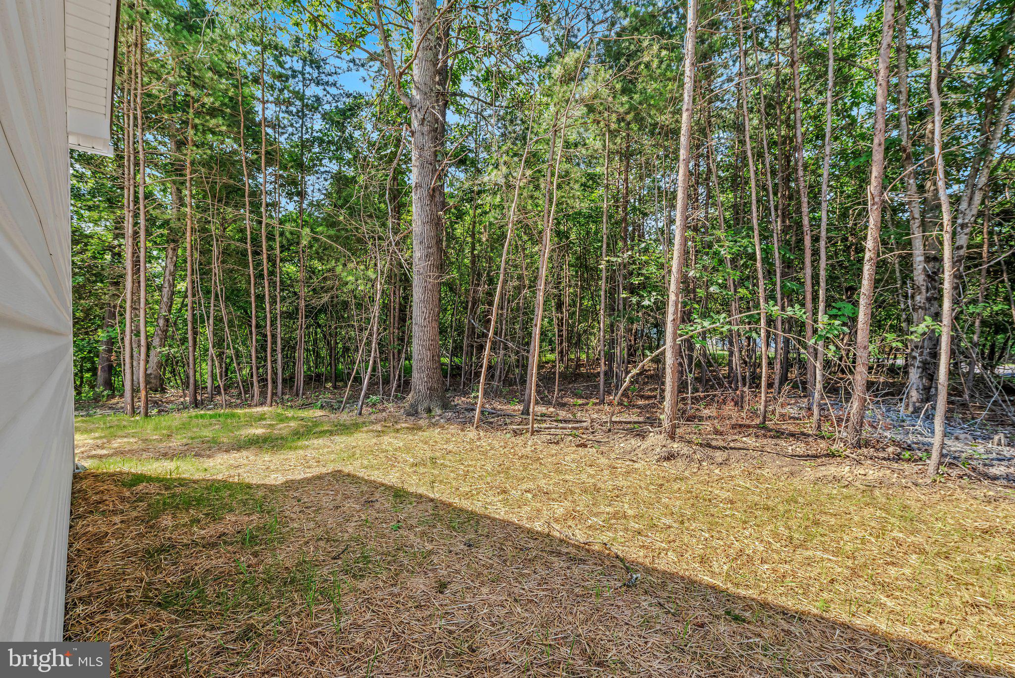 123 JENKINS RD