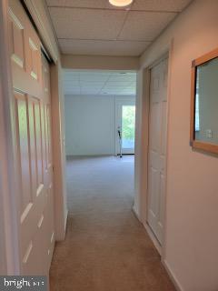 339 CARLISLE DRIVE