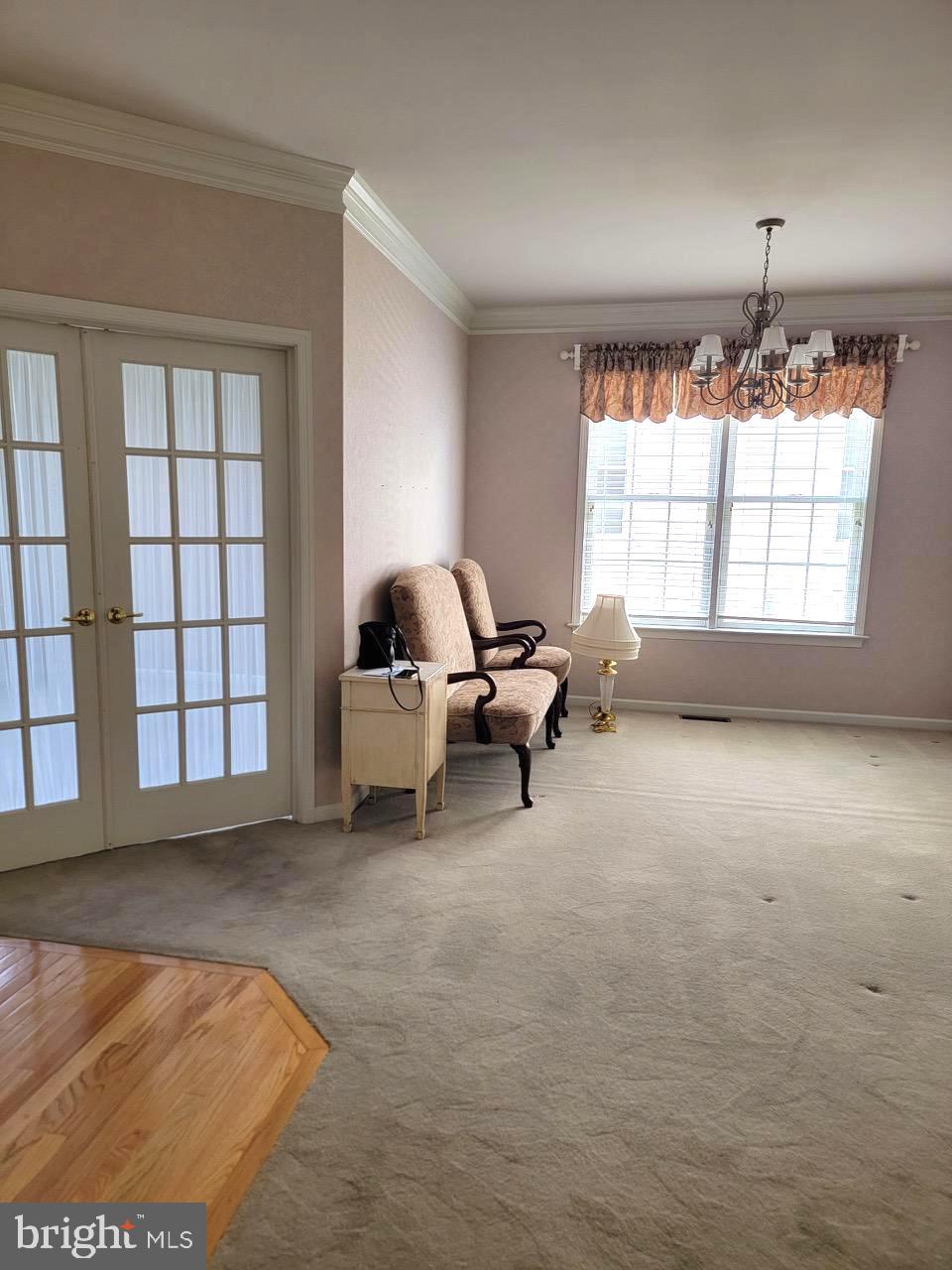 339 CARLISLE DRIVE