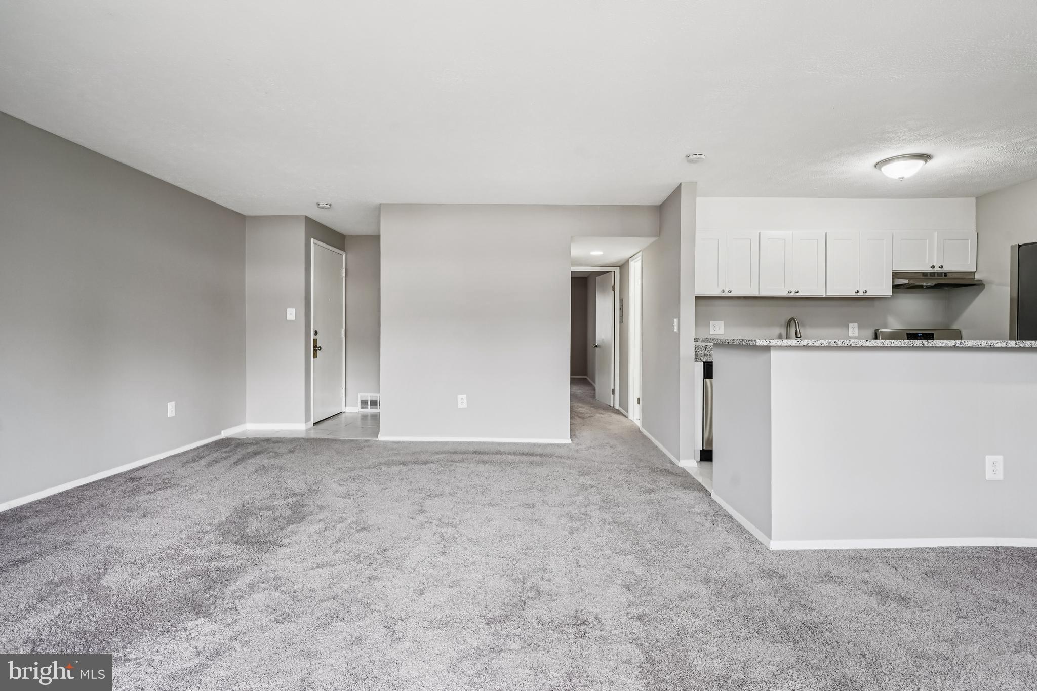 534 WILSON BRIDGE DRIVE C-1