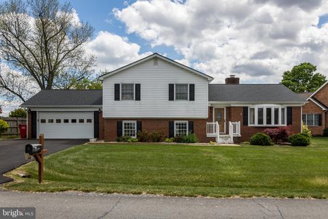 Photo of 5040 Barley Drive, STEPHENS CITY, VA 22655 (MLS # VAFV2041144)