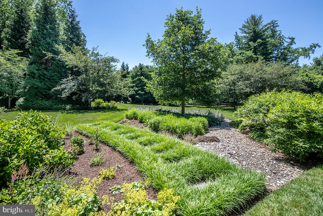 BUTTONWOOD FARMS - Residential