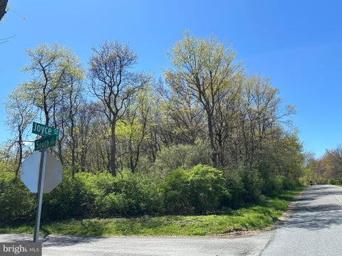 Vacant Land For Sale - Joyce Street<br/> TAMAQUA, PA 18252