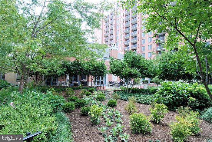 GALLERY AT WHITE FLINT - Residential Lease