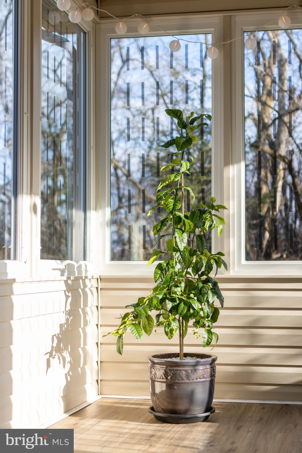 GREENLEAF MANOR - Residential