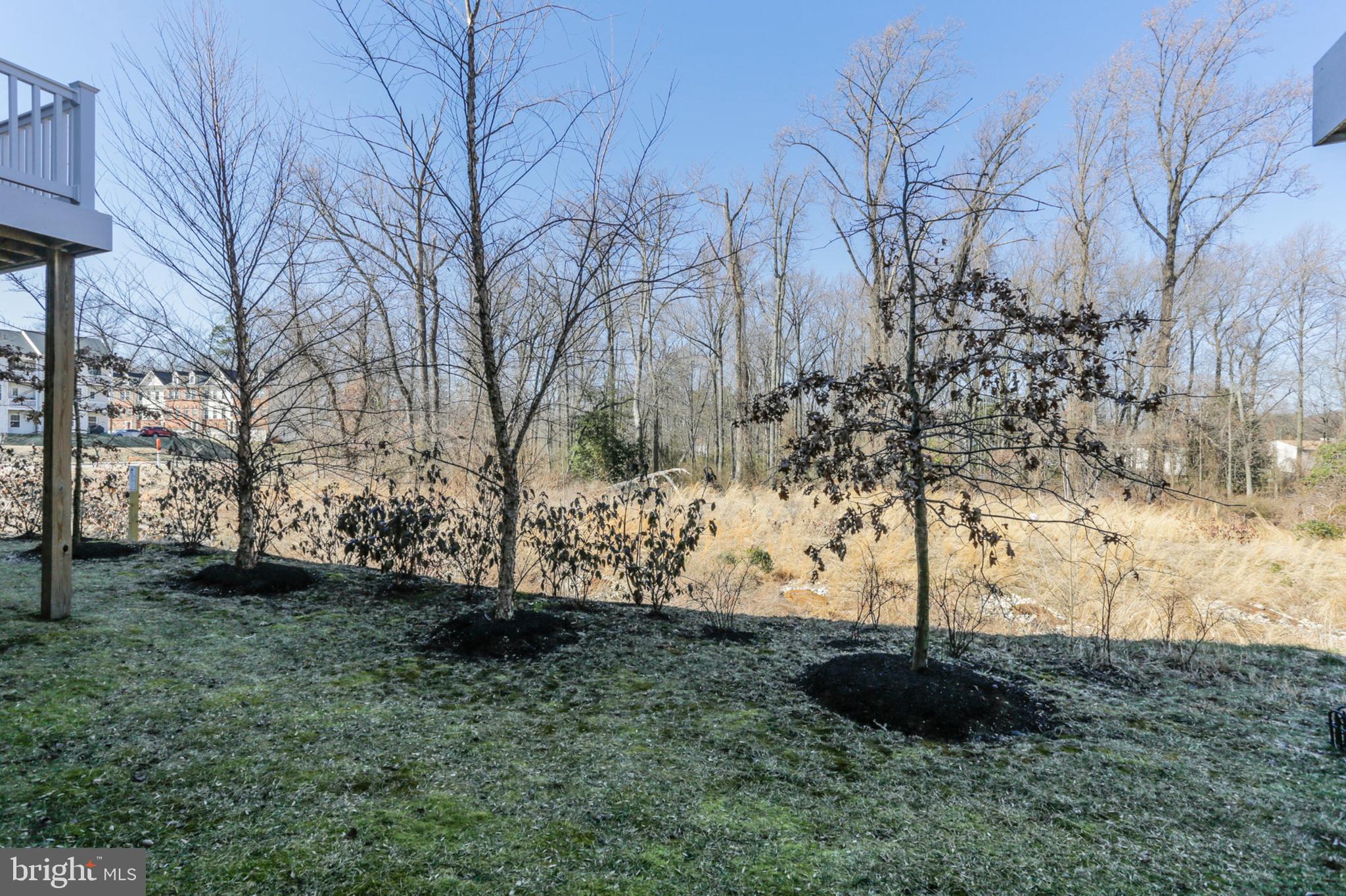 BOYERS RIDGE - Residential