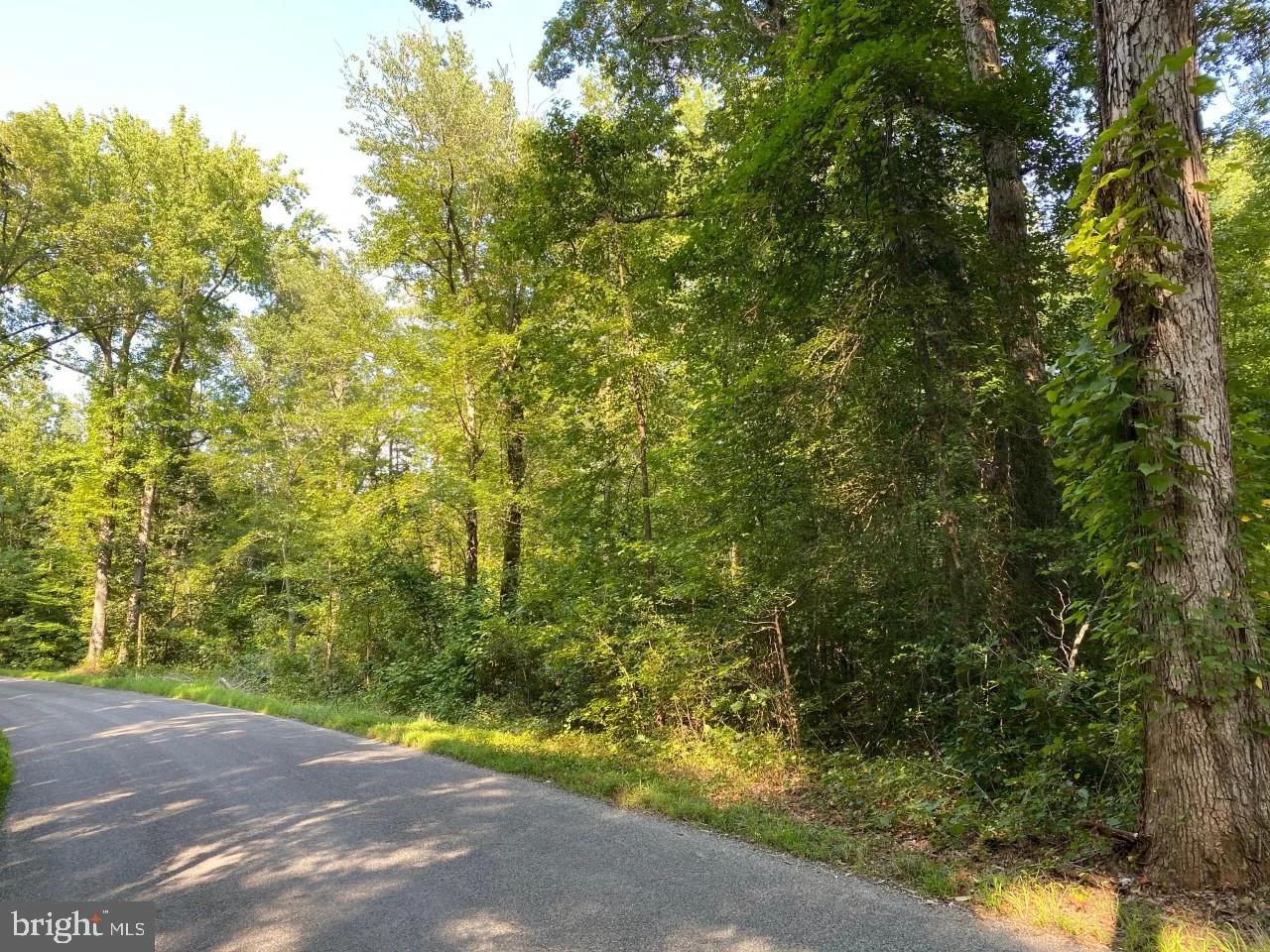 Bull Church Road, Woodford, VA 22580