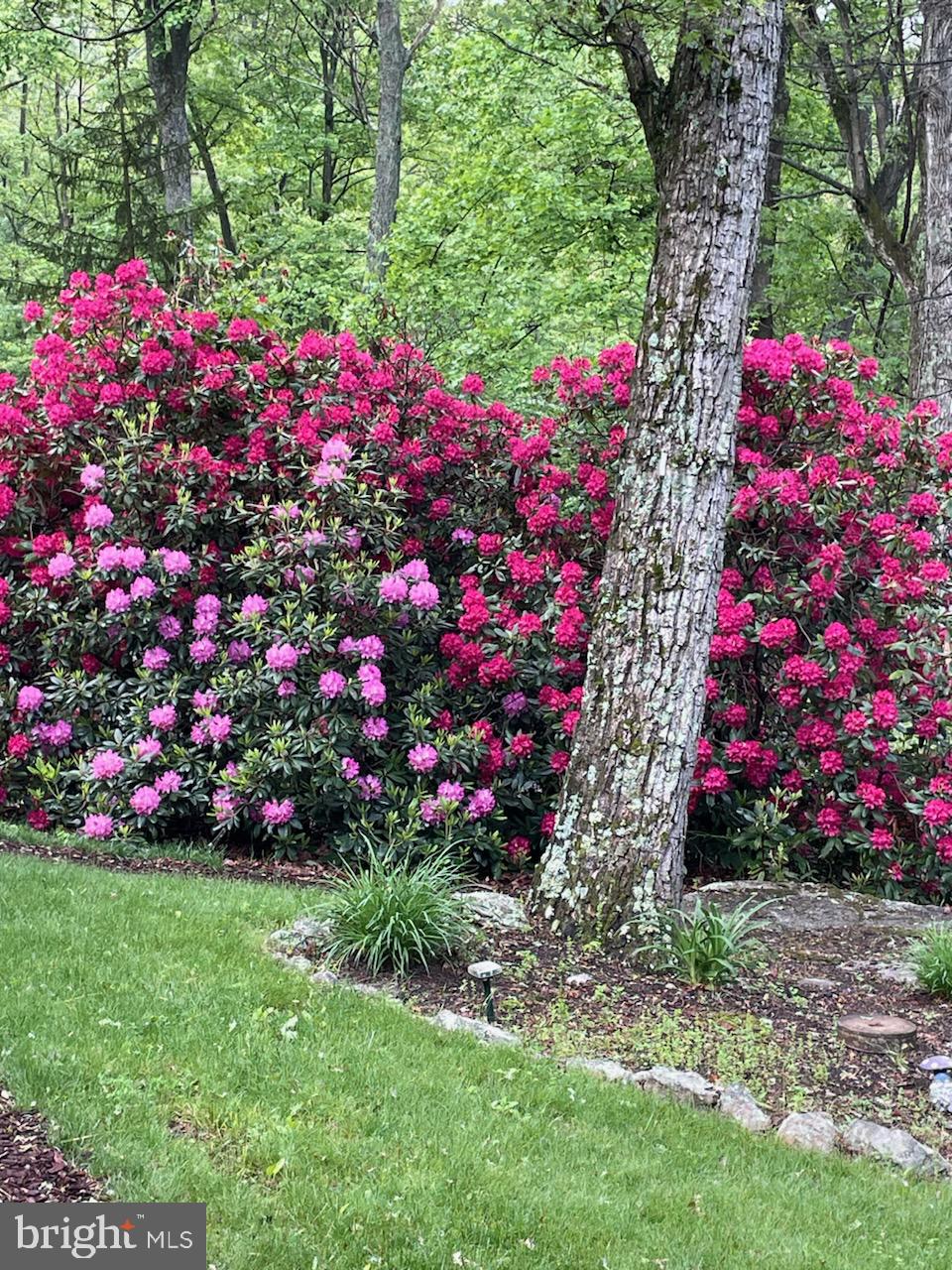 NORTH MOUNTAIN ESTATES - Residential