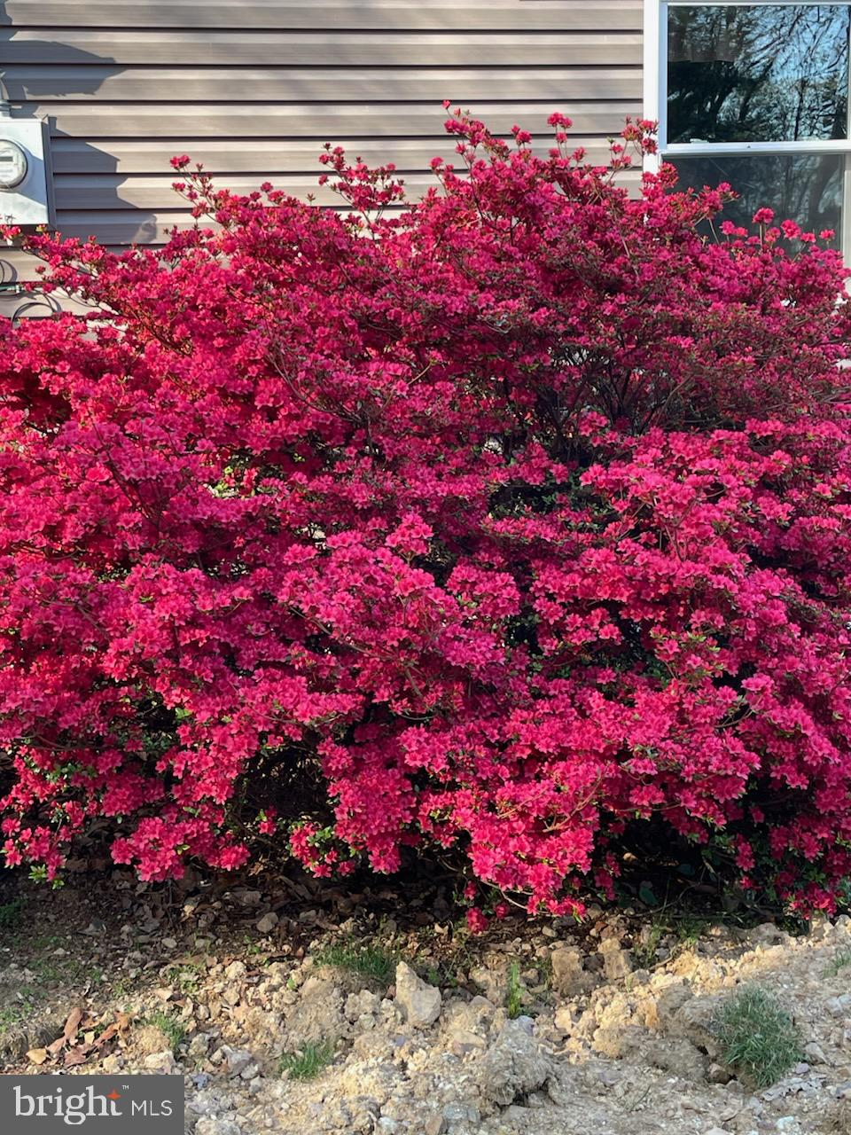 NORTH MOUNTAIN ESTATES - Residential