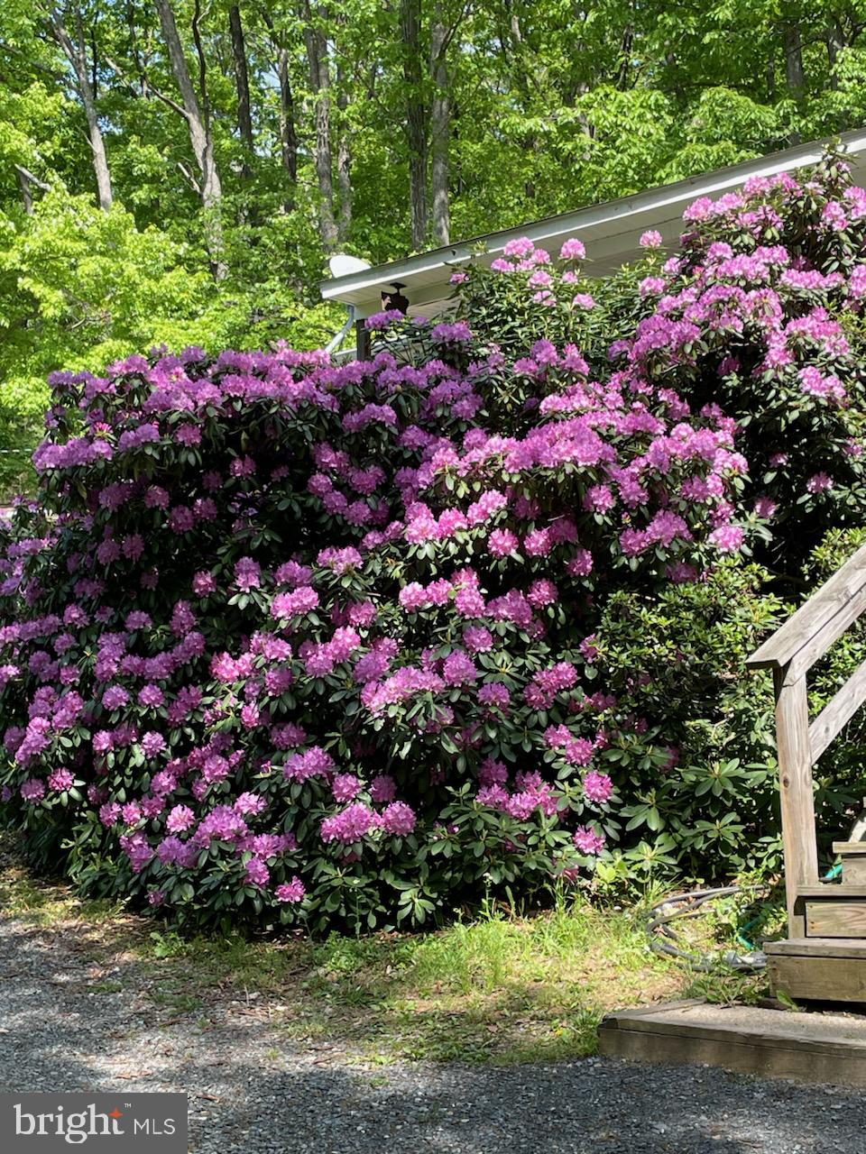 NORTH MOUNTAIN ESTATES - Residential