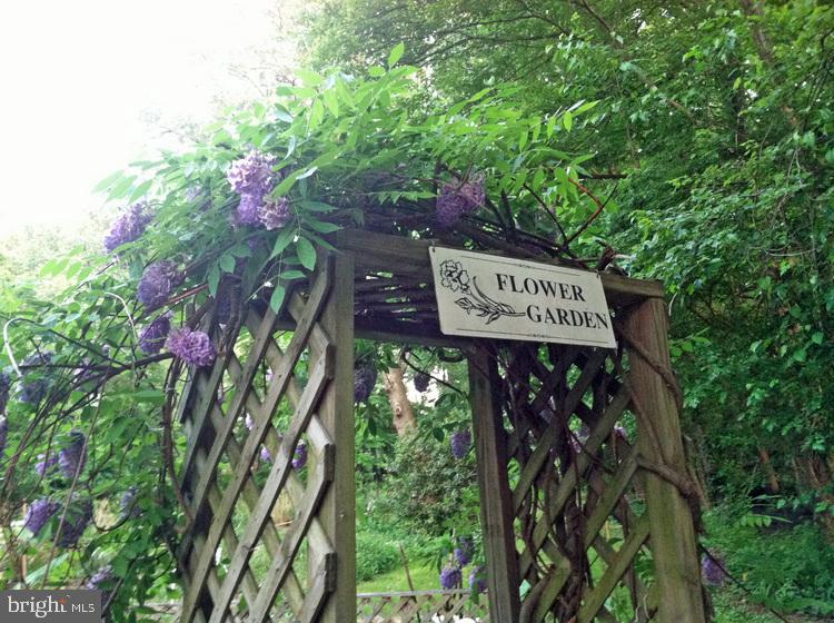 RIVER TOWERS - Residential Lease