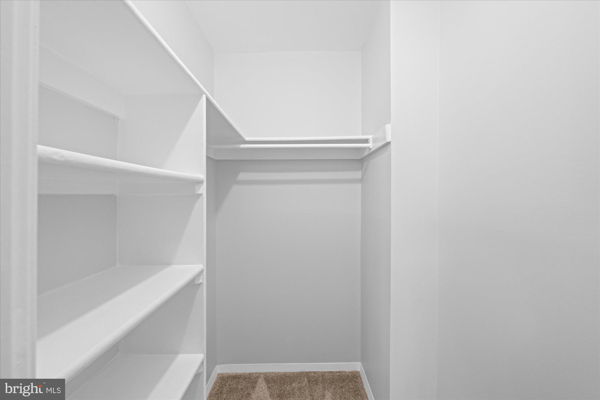 3720 FERRARA DRIVE 5