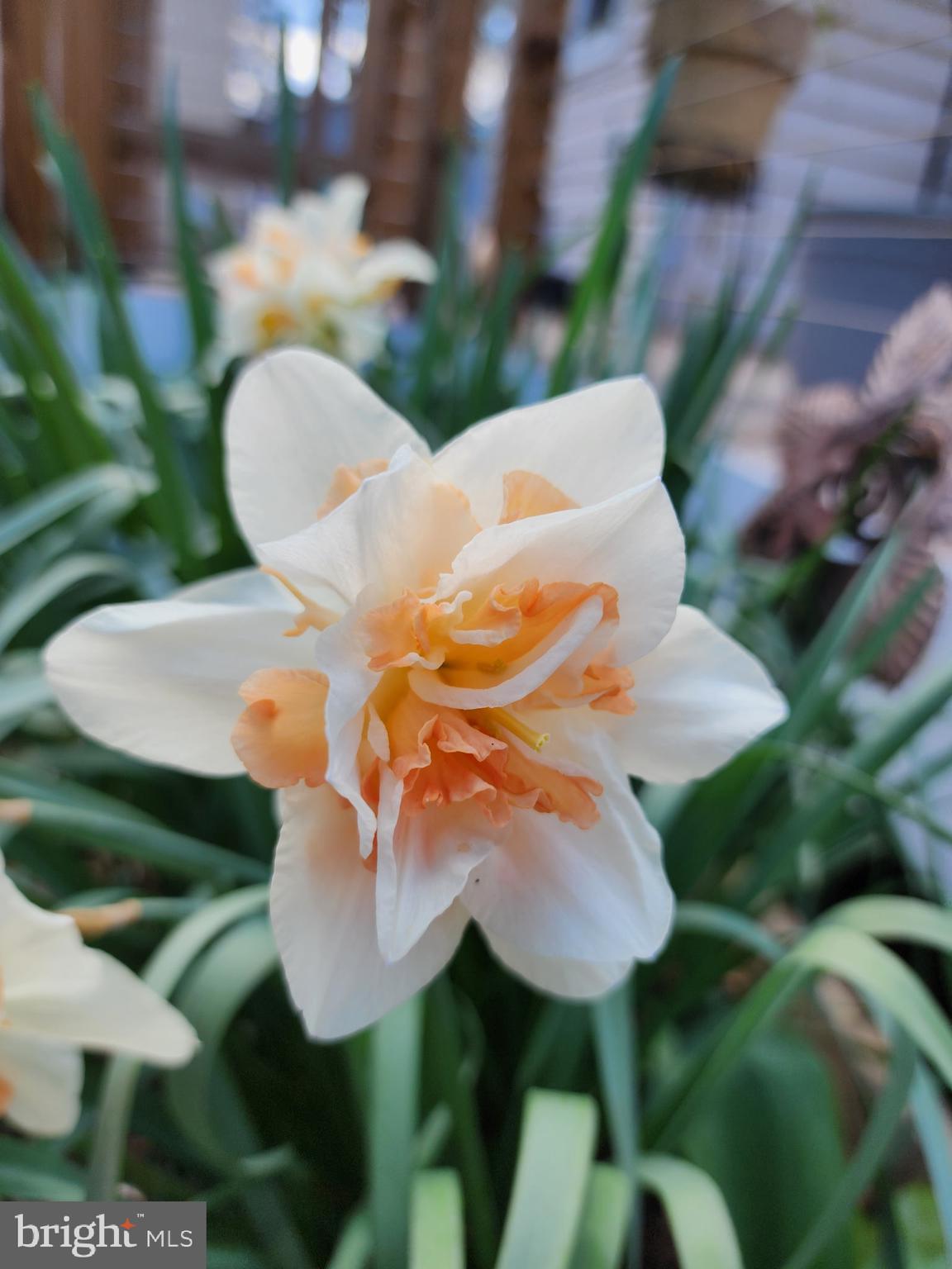 CLASSIC SHORES - Residential