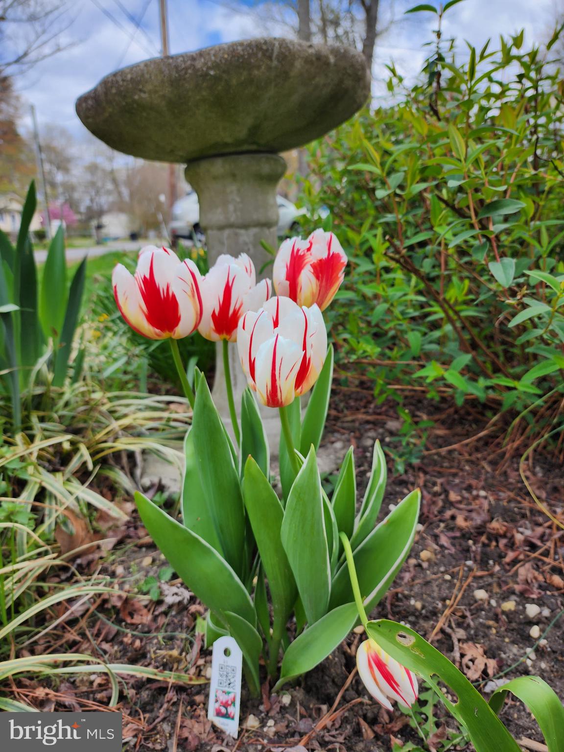 CLASSIC SHORES - Residential