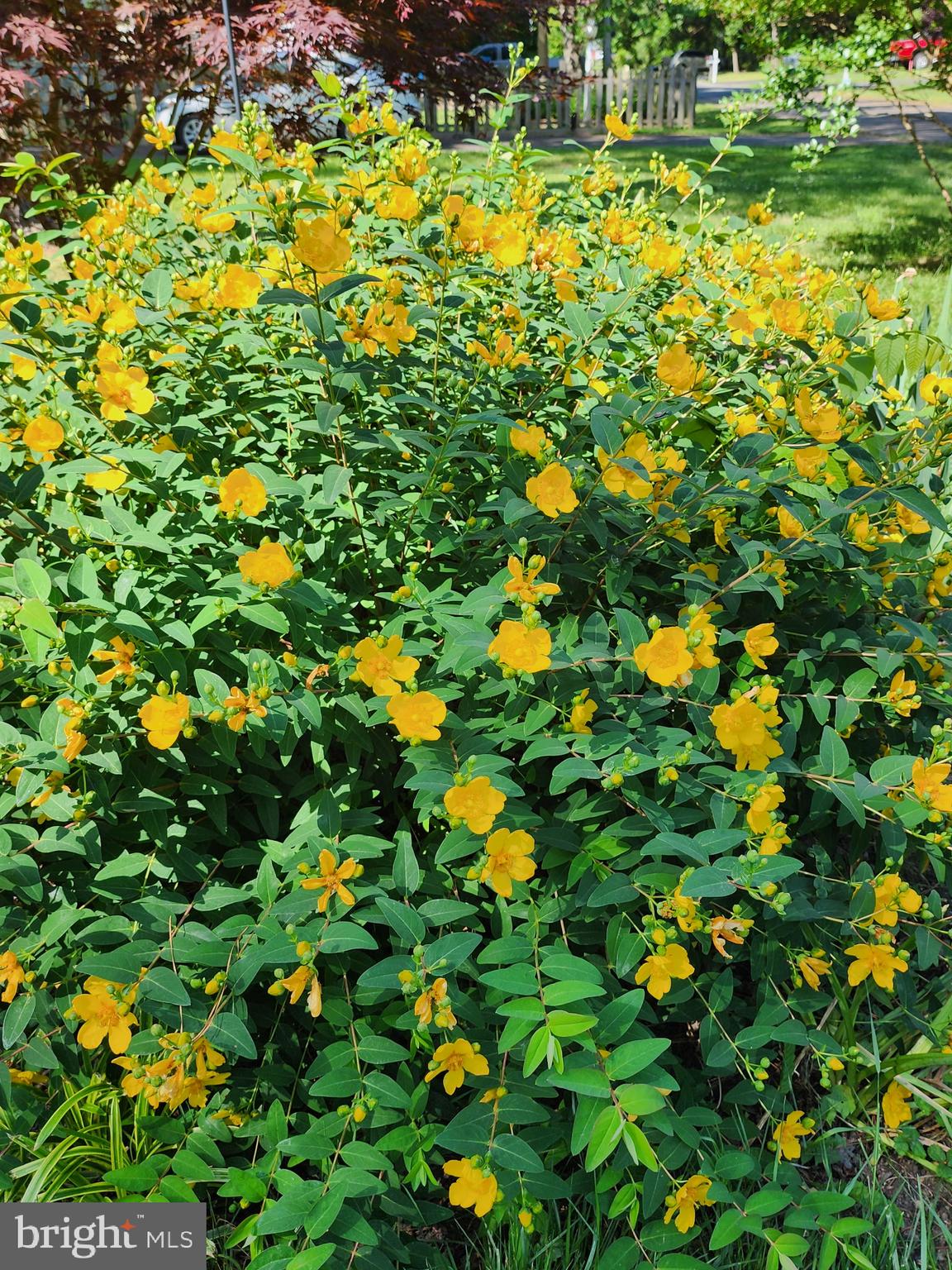 CLASSIC SHORES - Residential