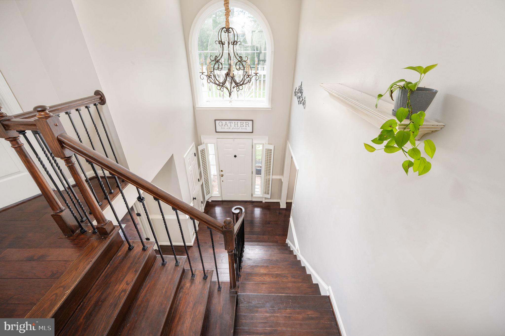 ESTATES OF LEE-JACKSON - Residential