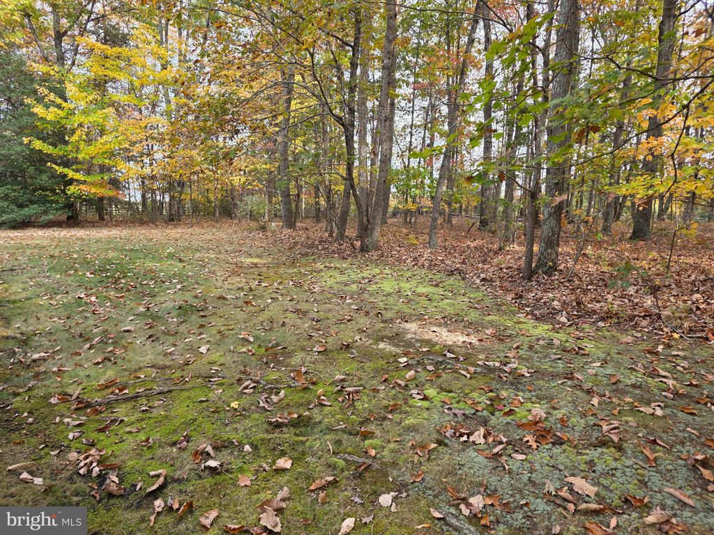 Photo of 31380 Paynes Farm Dr, LOCUST GROVE, VA 22508 (MLS # VAOR2012568)