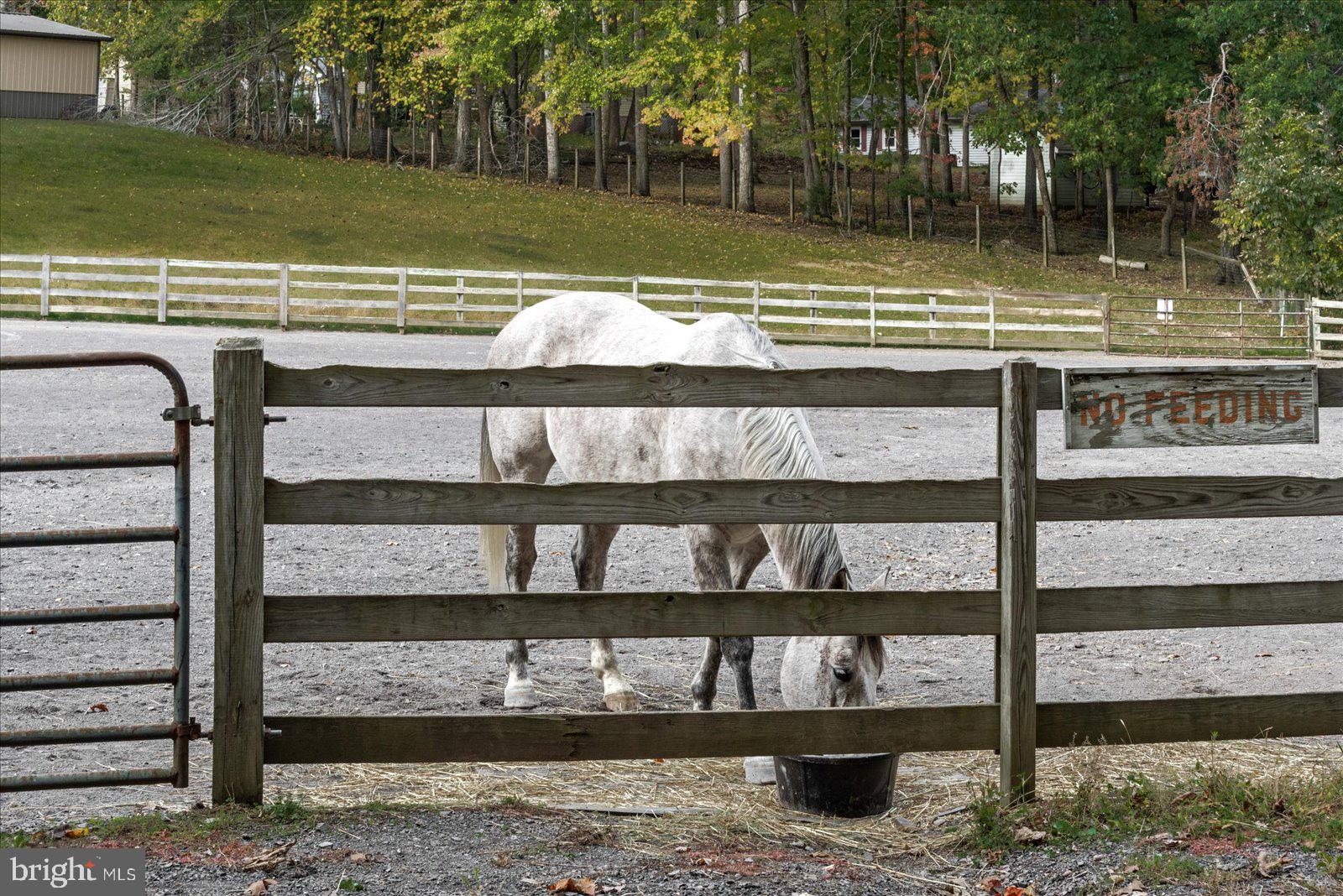 LAKE OF THE WOODS - Residential Lease