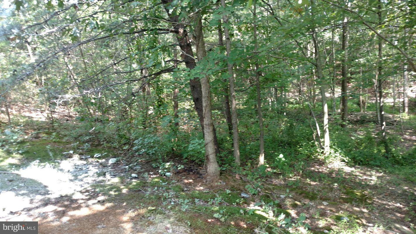 STAFFORD OAKS - Residential