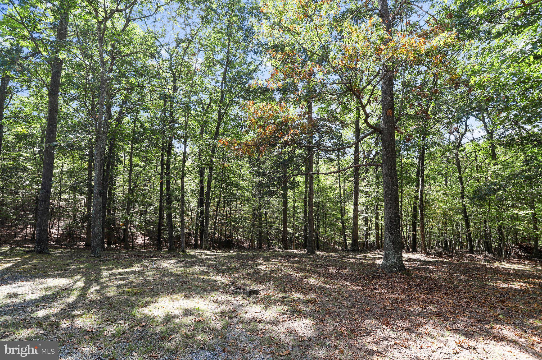 THE WOODS - Residential