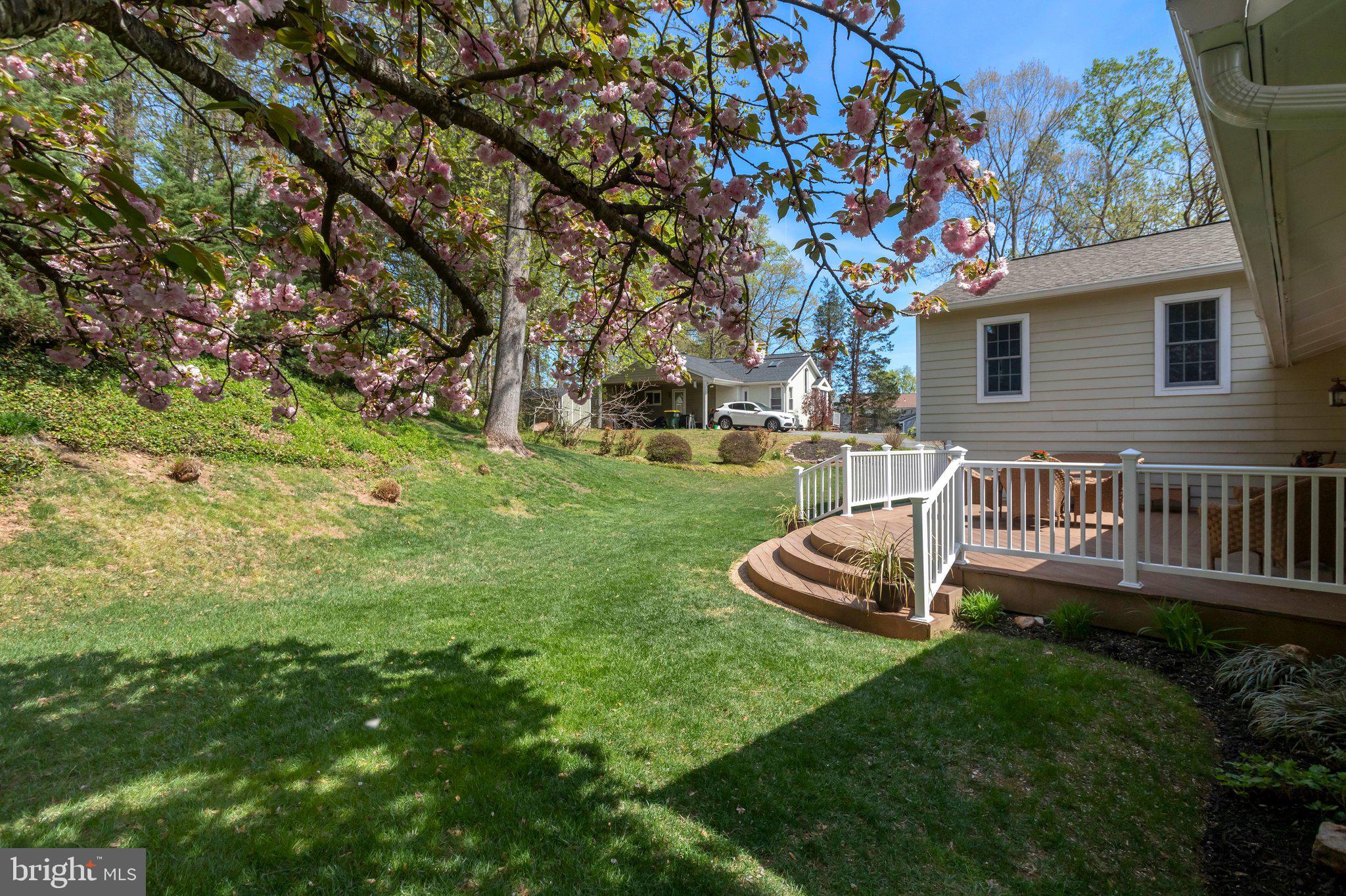BENT TREE - Residential