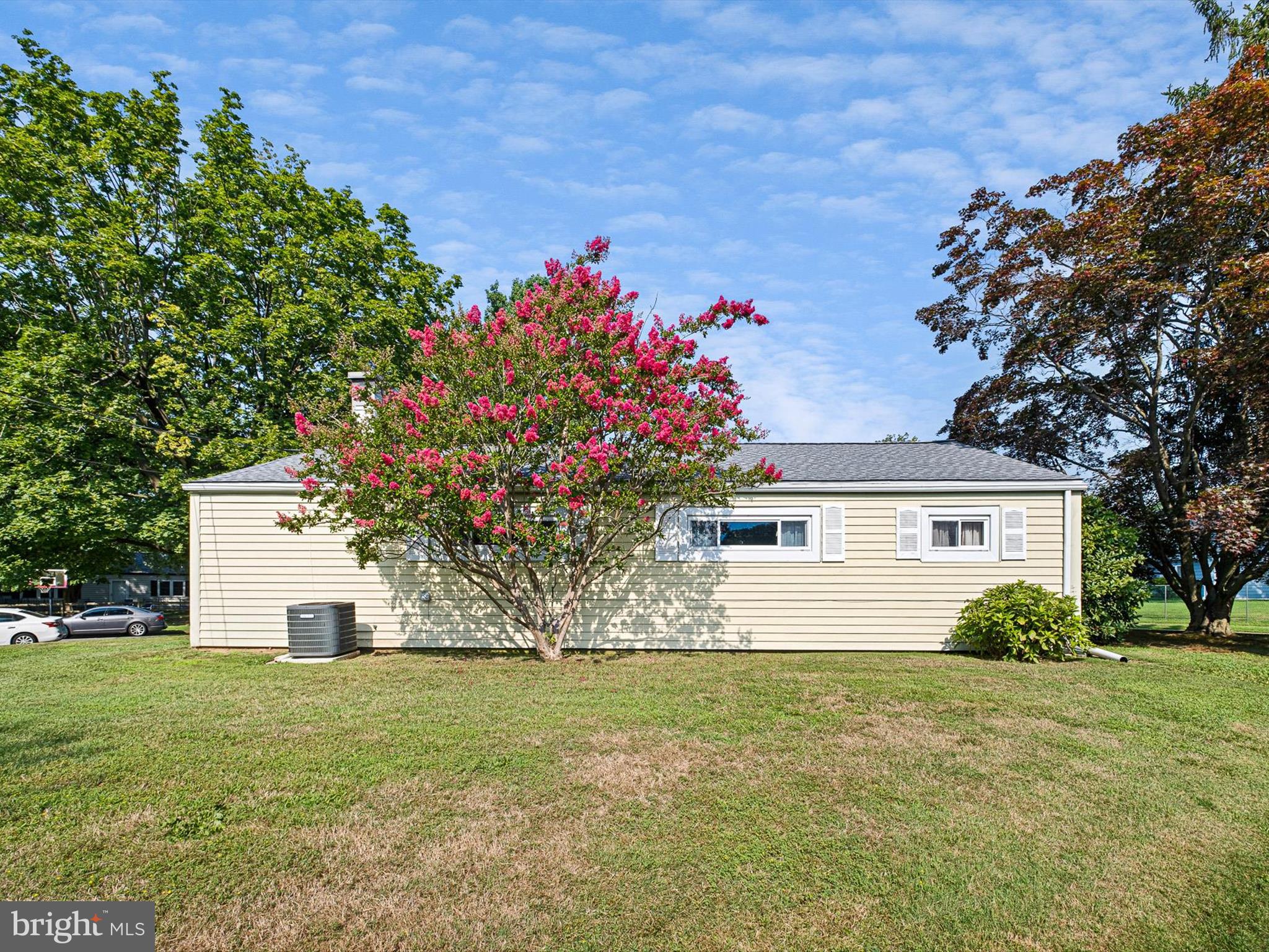 21 WARDOR AVENUE