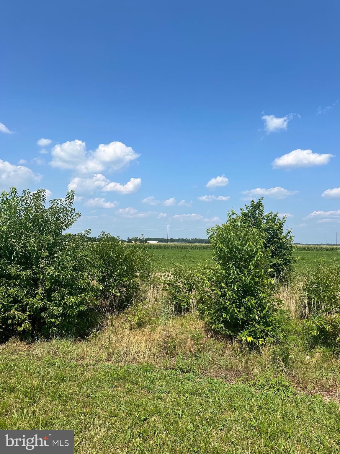 HURLOCK - Residential