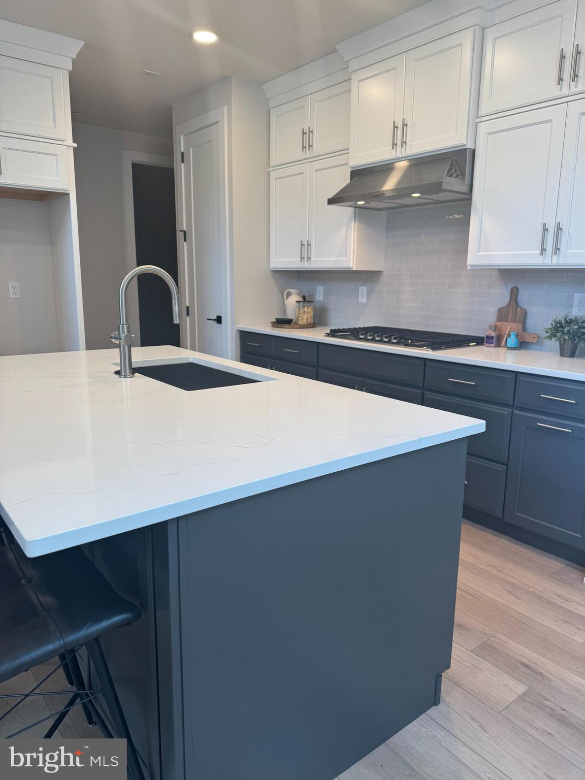 PRESERVE AT MARSH CREEK - CARRIAGE COLLECTION - Residential