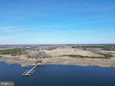 Vacant Land For Sale - St Martins Neck Rd<br/> BISHOPVILLE, MD 21813