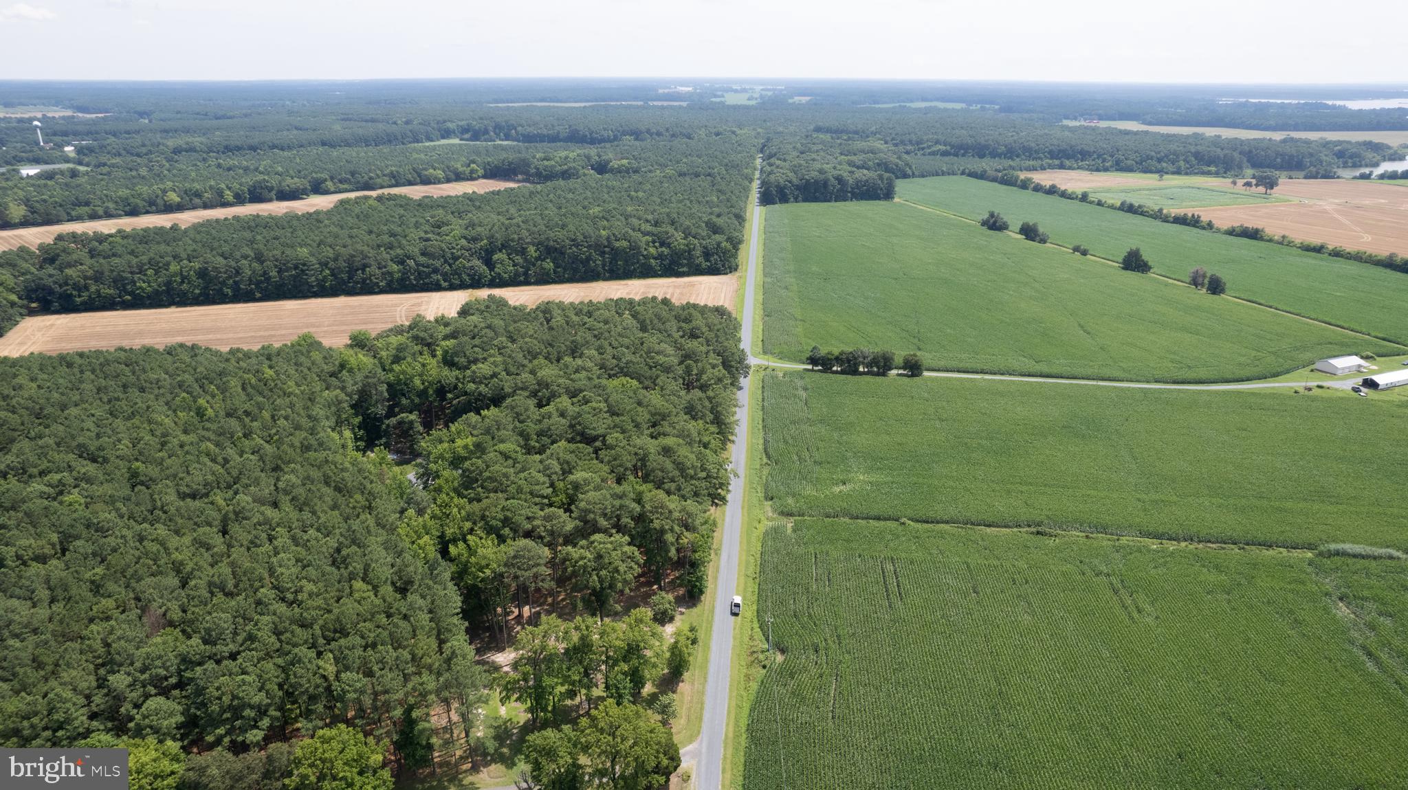 HORNS POINT ROAD