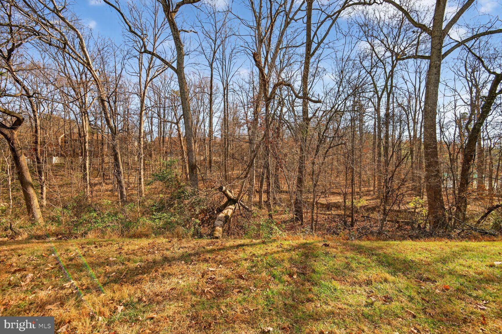 1548 POPLAR GROVE DRIVE