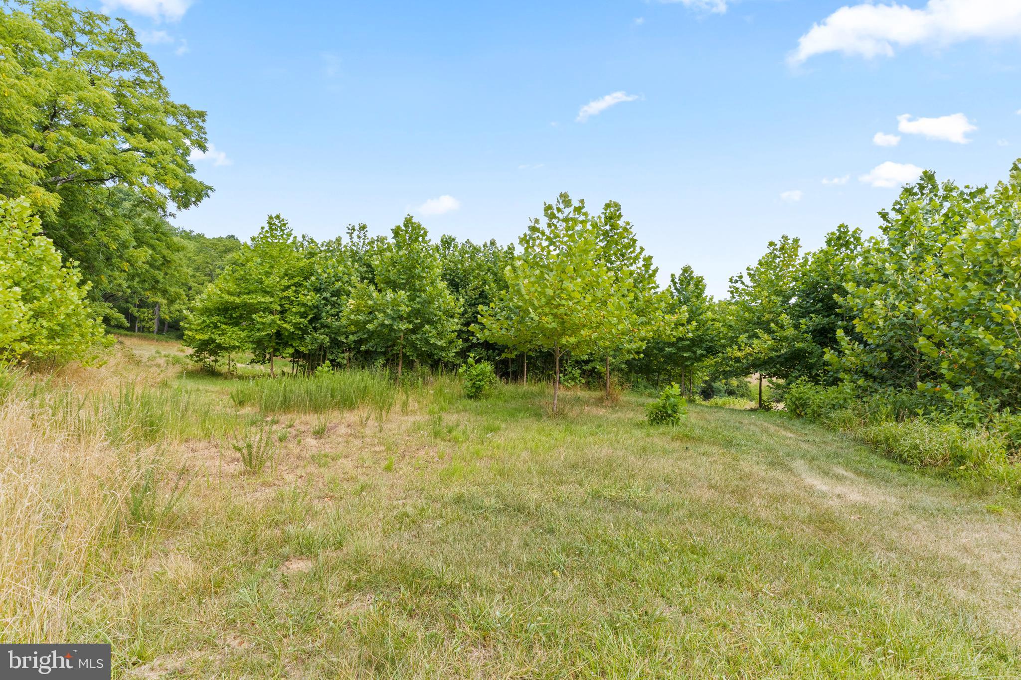 LEEDS MANOR ORCHARDS - Residential
