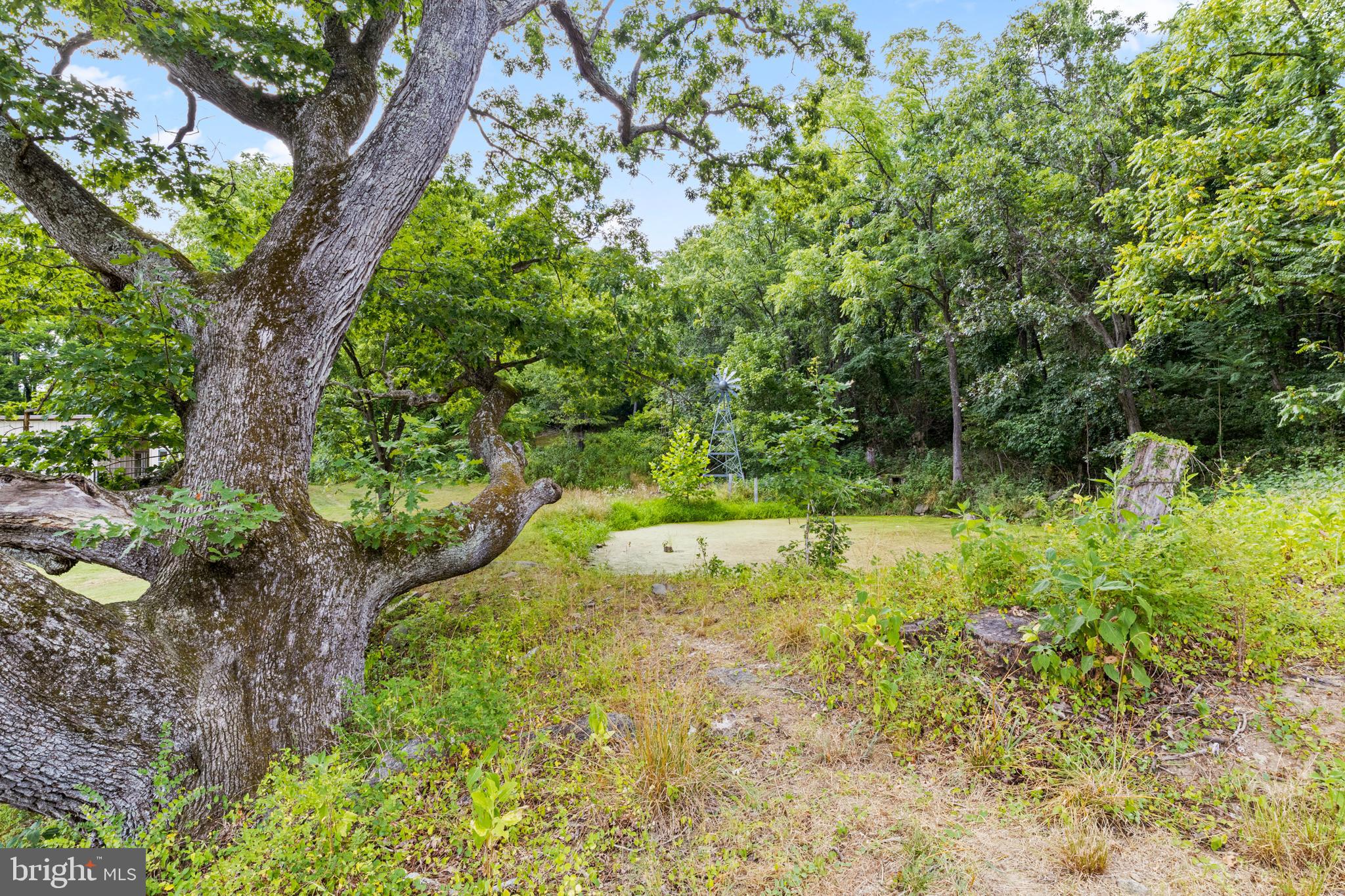 LEEDS MANOR ORCHARDS - Residential