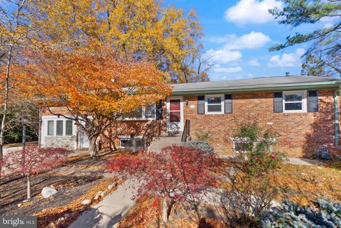 4211 DOWNING STREET ANNANDALE VA 22003