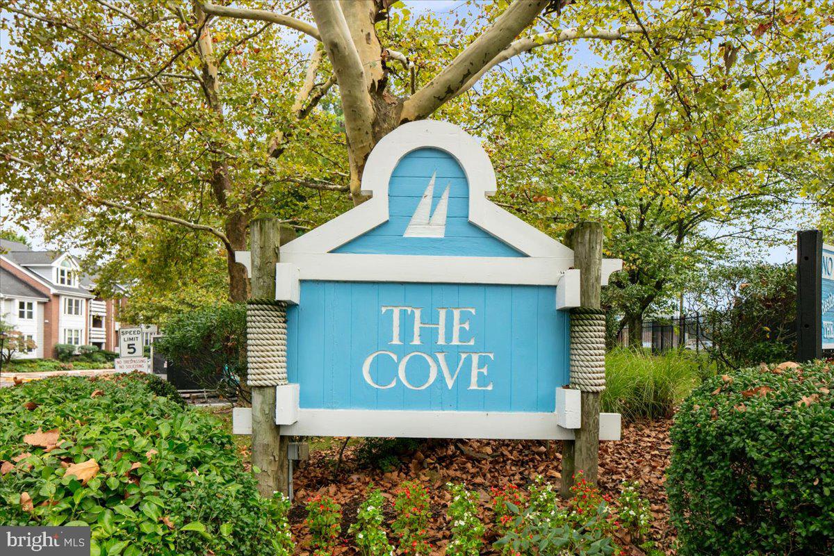 THE COVE - Residential