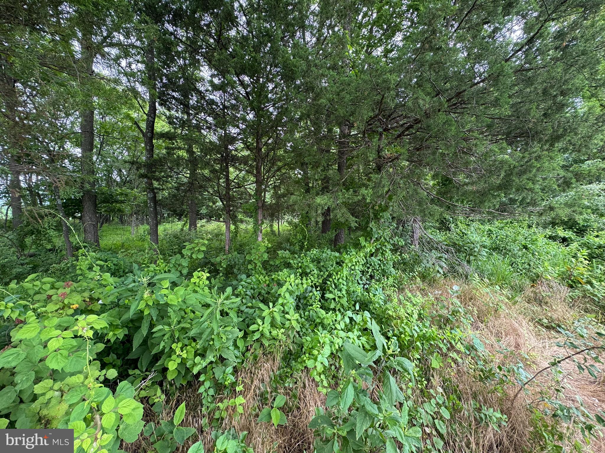 MIDDLETOWN HEIGHTS - Land