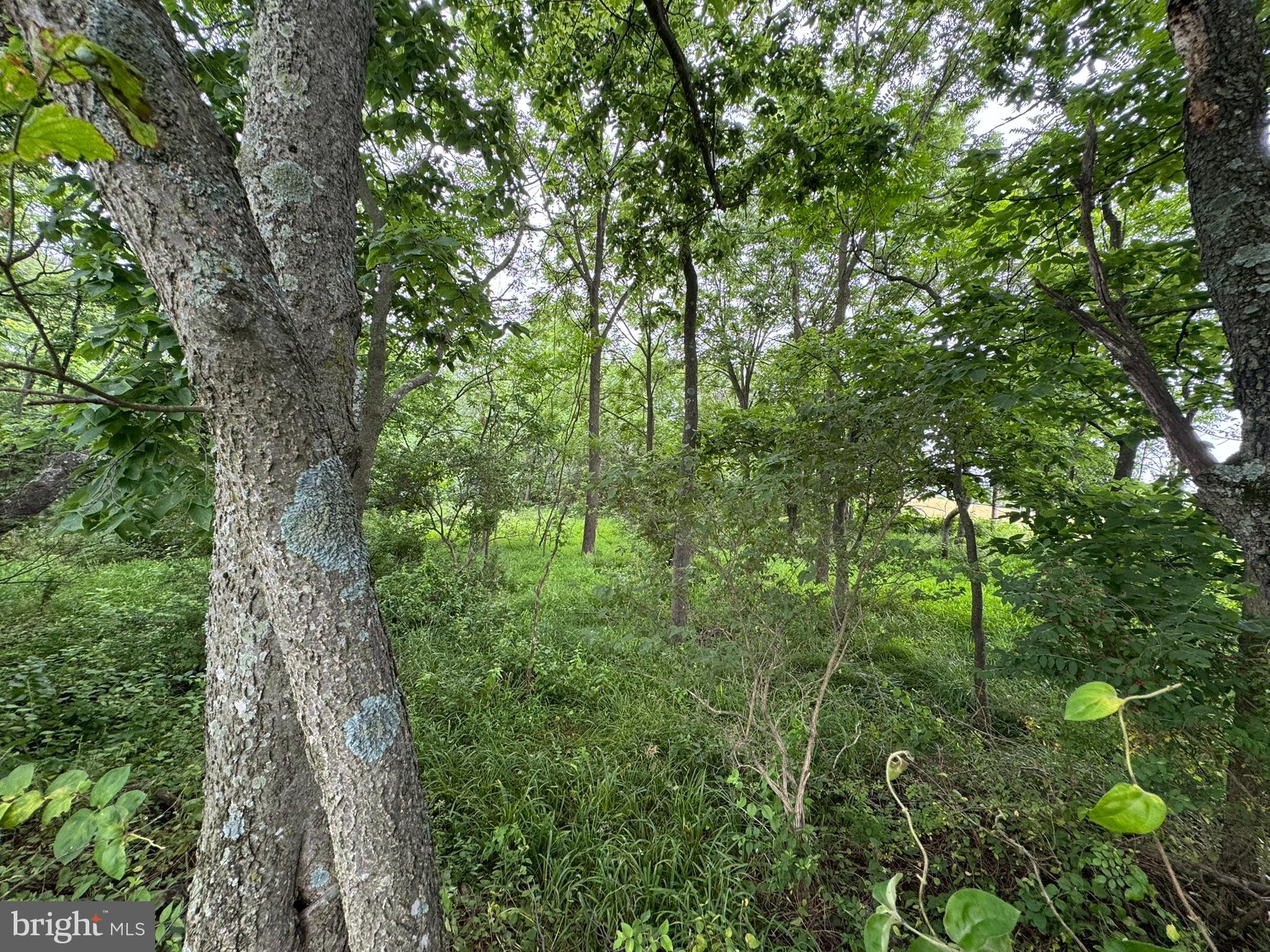 MIDDLETOWN HEIGHTS - Land