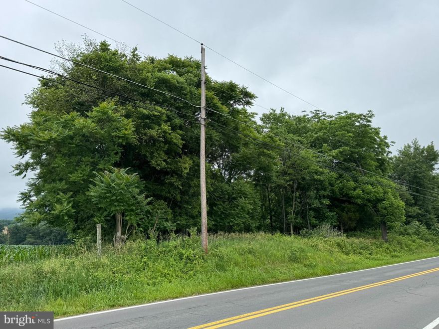 Great opportunity to build on a lot in an established subdivision (Middletown Heights).  No well and no knowledge of any perc attempts.  Lot has been in the family since 1966.  Relatively flat lot.  Close to all things Middletown (schools, restaurants, shopping, etc).  There were covenants, but they have long since expired (20-years from the date of sale of the last lot sold in the subdivision).