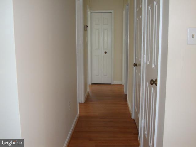 RAINTREE - Residential Lease