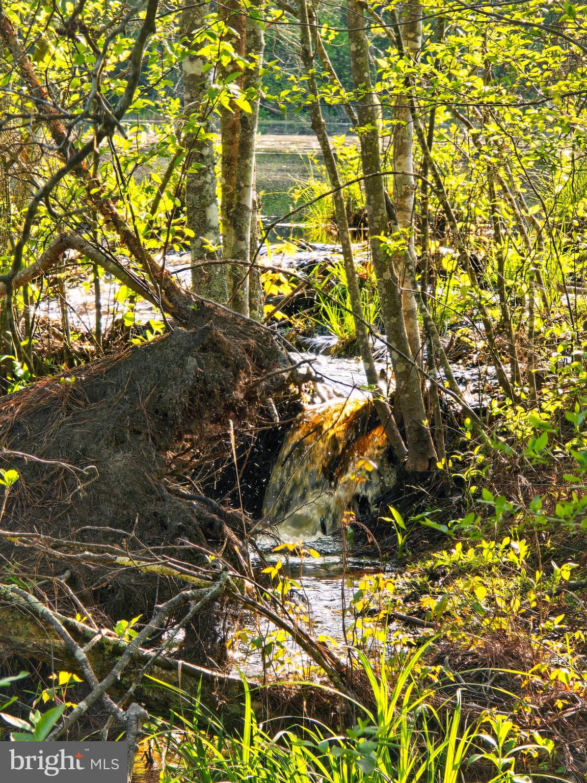 Lot 43A & 34B JENNINGS