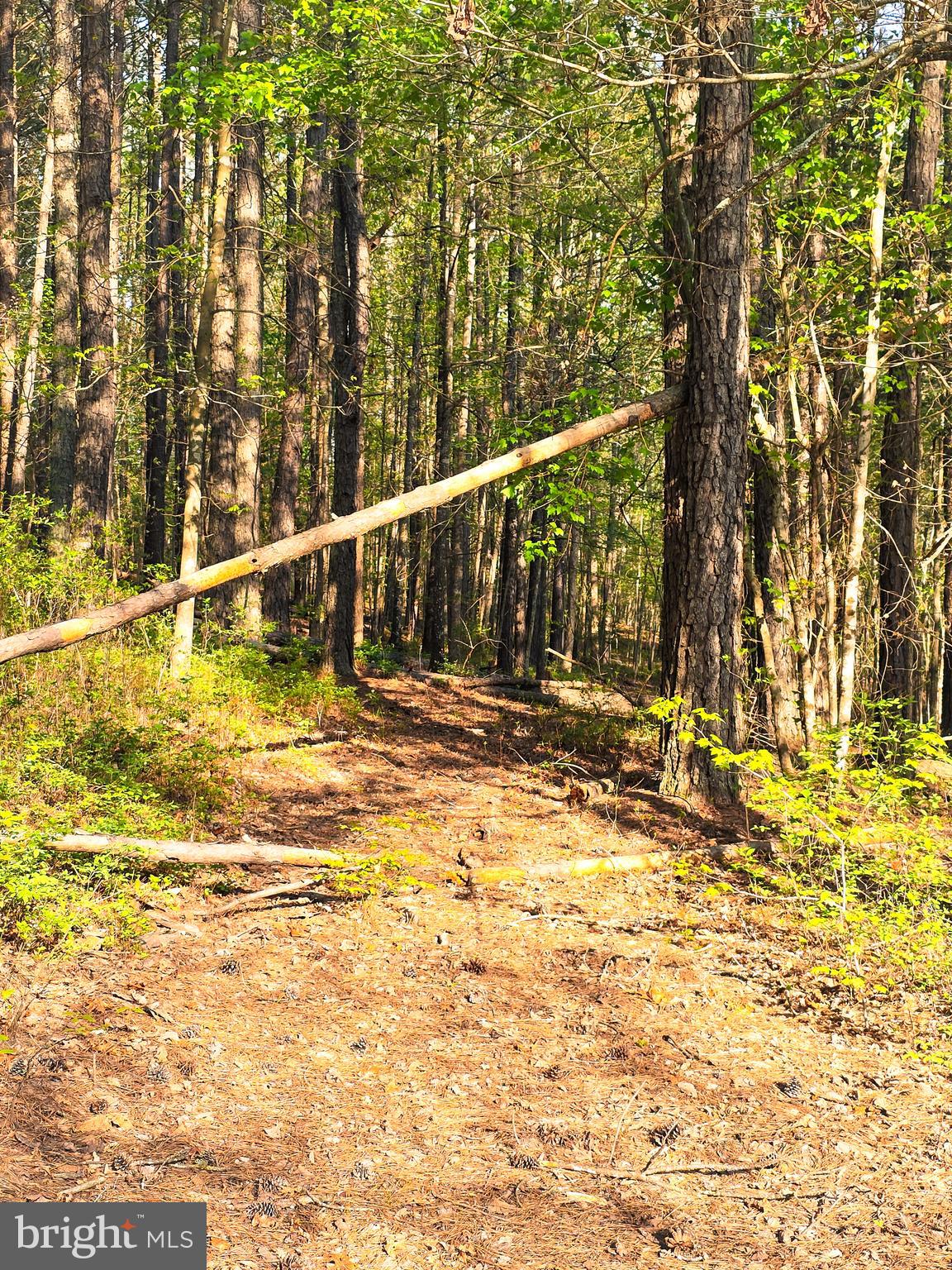 Lot 43A & 34B JENNINGS